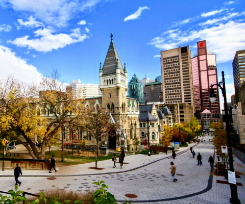 McTavish street in the fall.