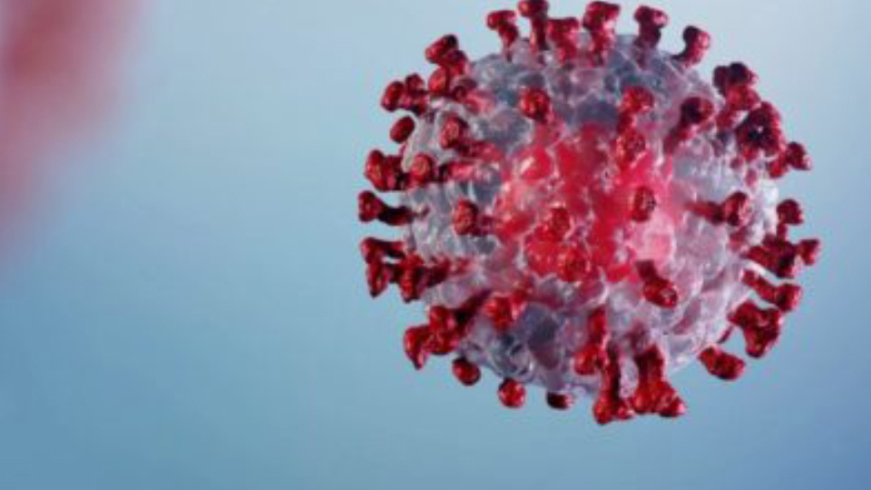 Cartoon rendering of a coronavirus particle on a blue background