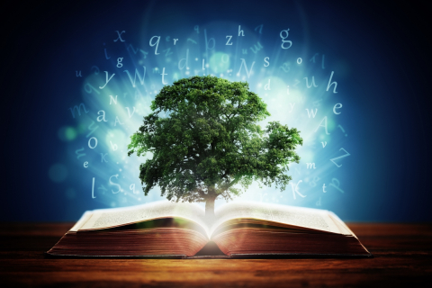Decorative, tree growing out of an open book