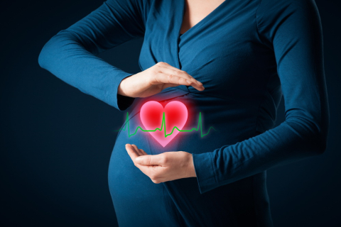 Pregnant person with hands holding a heart image 