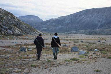 Looking for caribou - Copyright Noor Johnson