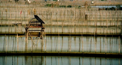 Net enclosures on Tam Giang lagoon, Vietnam.