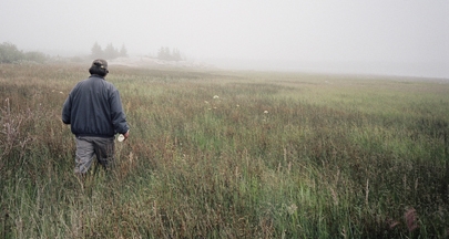 Salt marsh: guided tour of former fall goose hunting sites.