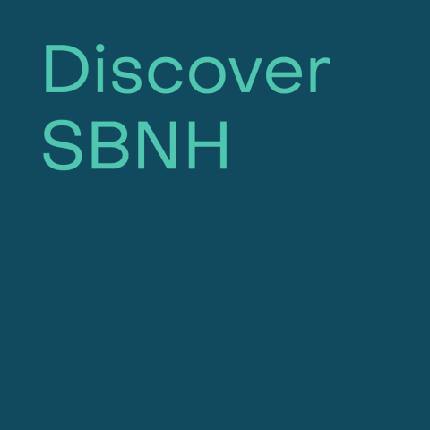 Text-based image: Discover SBNH 