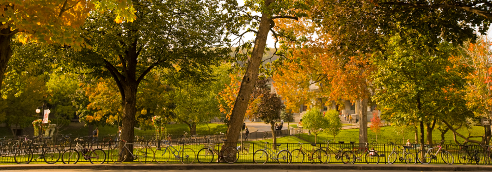 Trees in autumn on campus