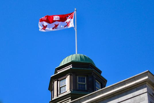 McGill Flag