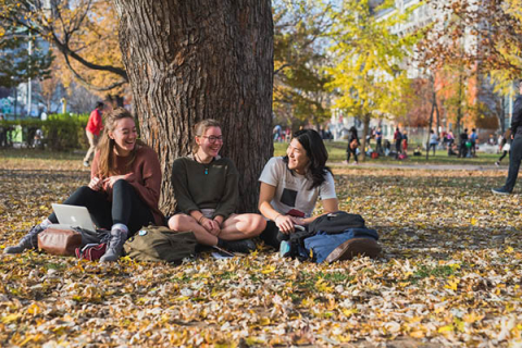 first year students