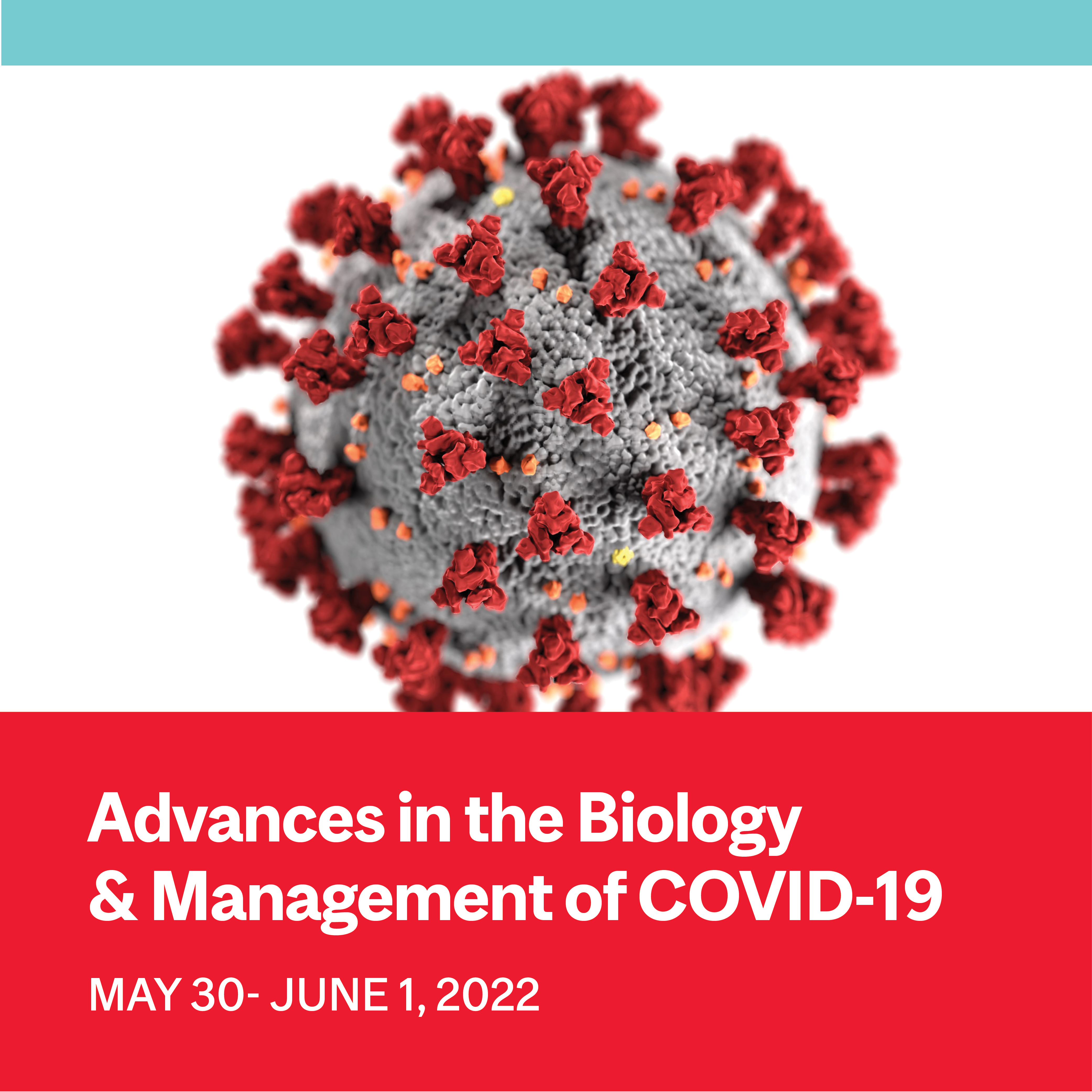 coronavirus molecule rendering