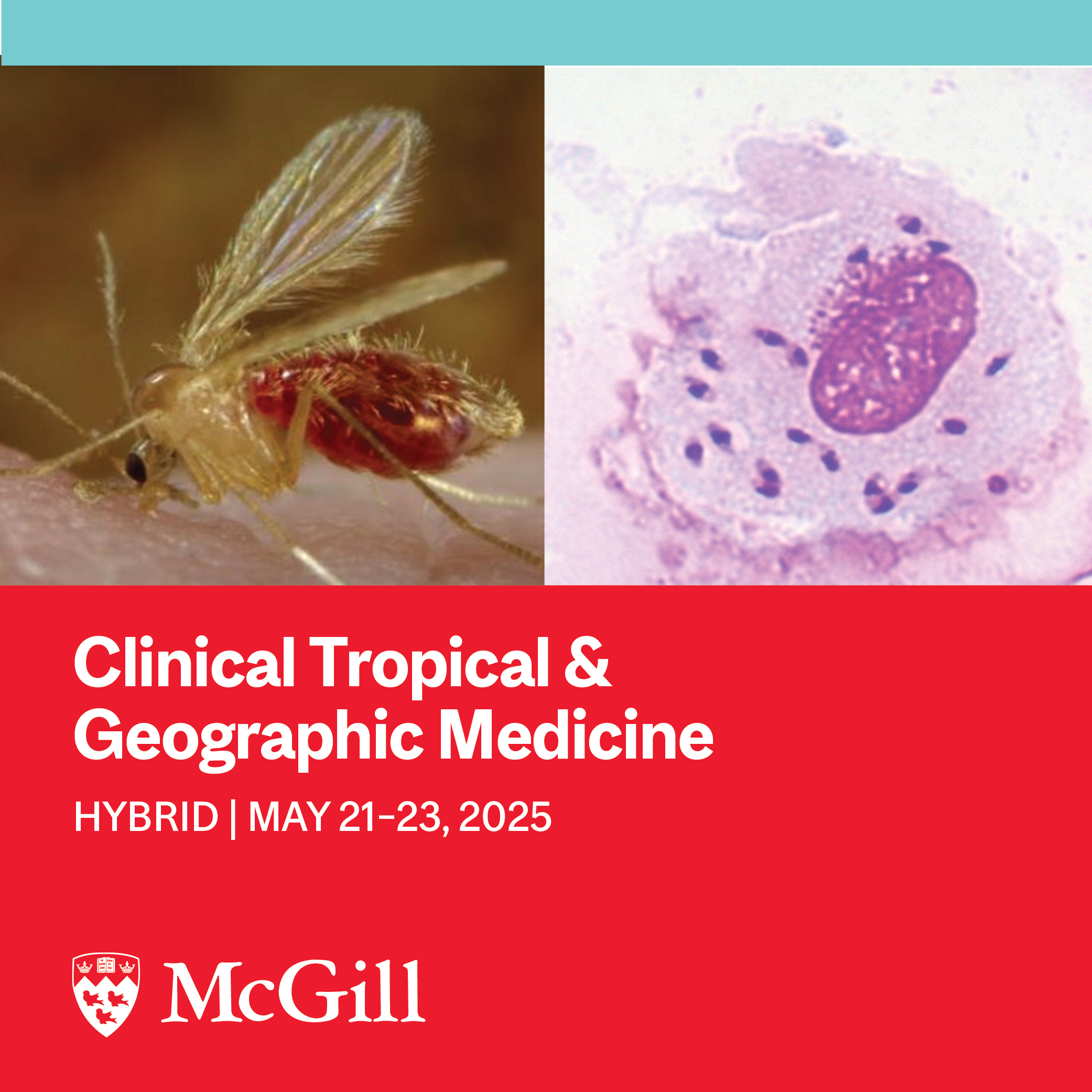 Flyer for the Clinical Tropical &amp; Geographic Medicine course