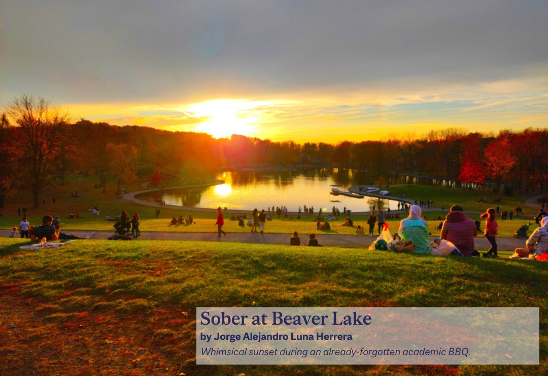 Whimsical sunset at Beaver Lake during an already-forgotten academic BBQ.