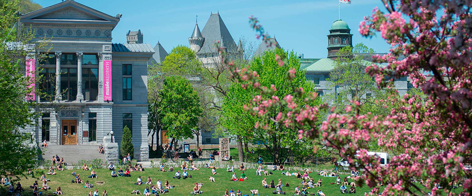 Wide shot overlooking lower campus facing redpath museum with students sitting on hill in background