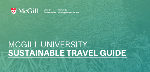 Cover for Sustainable Travel Guide
