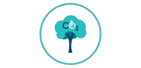 Illustration of teal tree with CO2 text in leaves