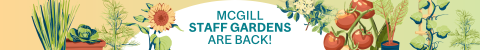 McGill Staff Gardens are back!