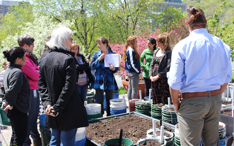 Staff members learning about gardening at Staff lunch and learn