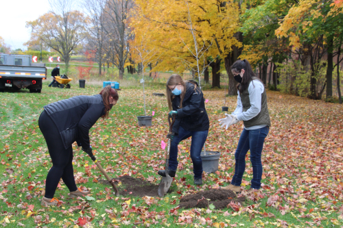 Three female students dig a hole to plant a tree on Mac campus