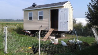 A chicken coop sits within a fenced pasture.