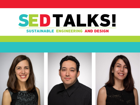 sedtalks logo SELENA CORELLA PUERTAS, BRUNO CÉSAR NORONHA and RANA YEKANI  MARQUES DE CASTILHO, 