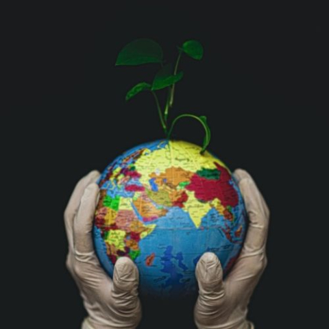 un globe terrestre est tenu par une main portant des gants en plastique et le gant fait pousser une vigne 