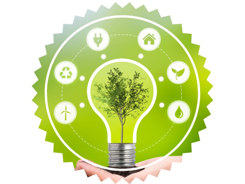 badge shape with lightbulb with tree inside surrounded my sustainable icons