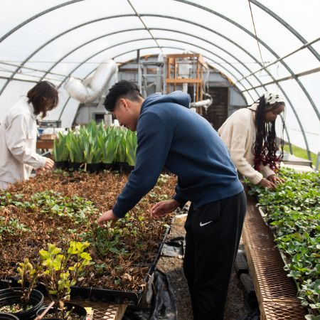 students tending to a greenhouse garden