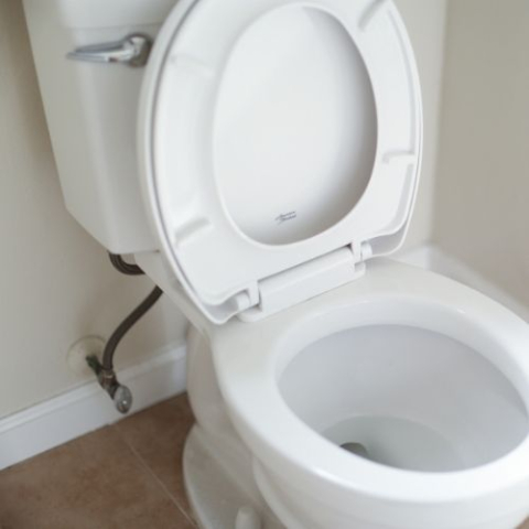 toilet with seat up