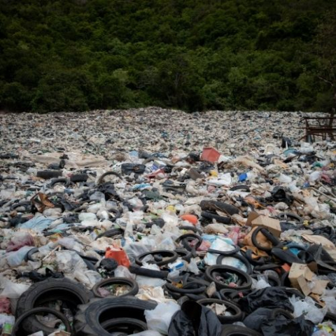 garbage dump in front of a forest
