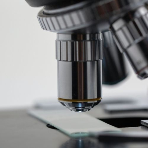 close up of microscope looking at slide