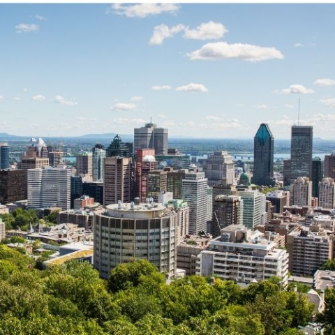 view of Montreal city from mountain top