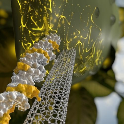 swirling white and yellow bubbles and grate looking bridge entering a leaf cell 