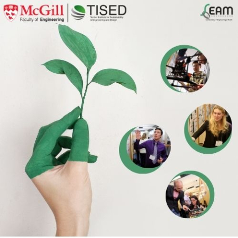 hand with green fingertips holding a vine - 4 bubble images of students showcasing their projects- tised and seam logo