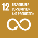 12 SDG Responsible consumption and production