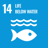 14 SDG Life Below Water