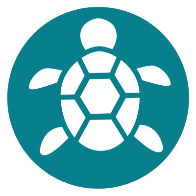 turtle icon