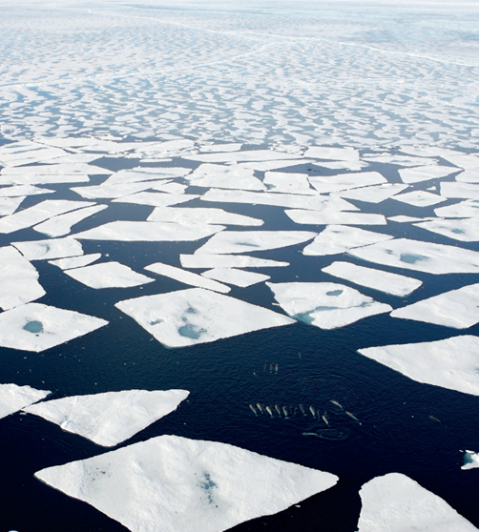 Fonte de la glace