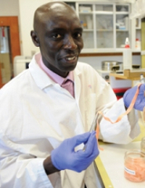 Dr. Momar Ndao in the laboratory