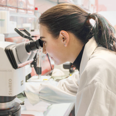 A student in a lab coat analyzing a sample in a microscope.