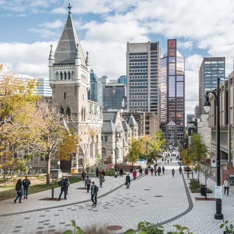 Photo of McGill downtown campus on McTavish Street