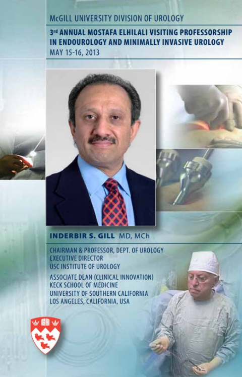Mostafa Elhilali Visiting Professorship 2013