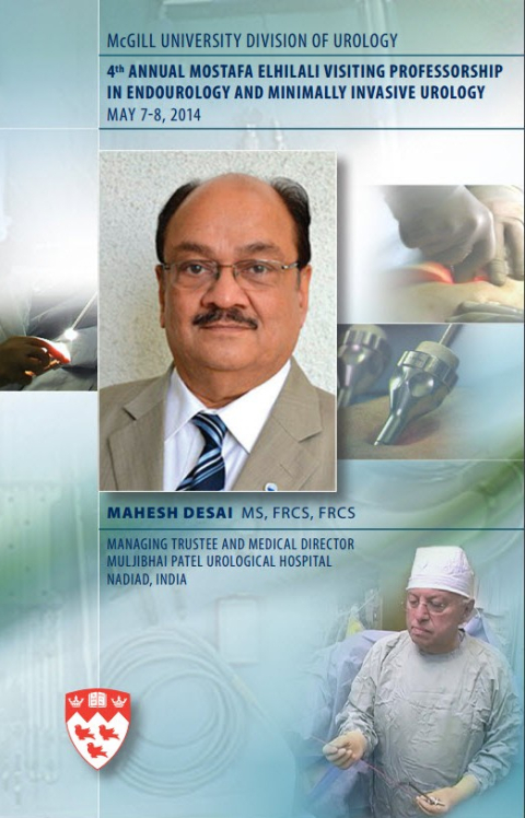 Mostafa Elhilali Visiting Professorship 2014