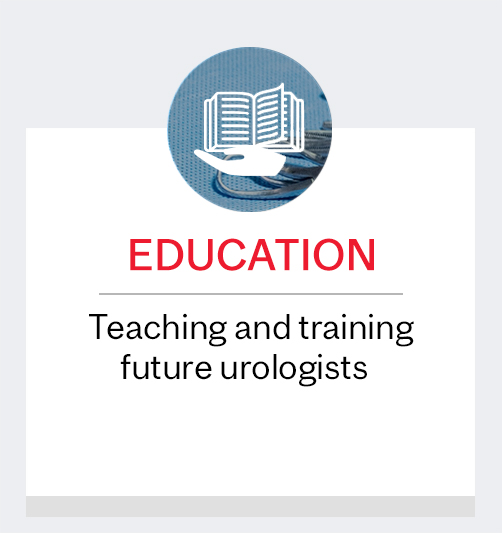 Education: Teaching and training future urologists