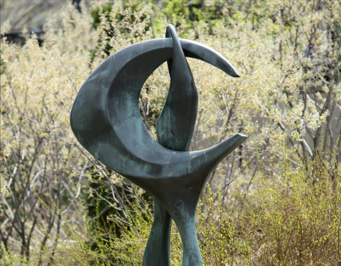 James Sculpture Garden
