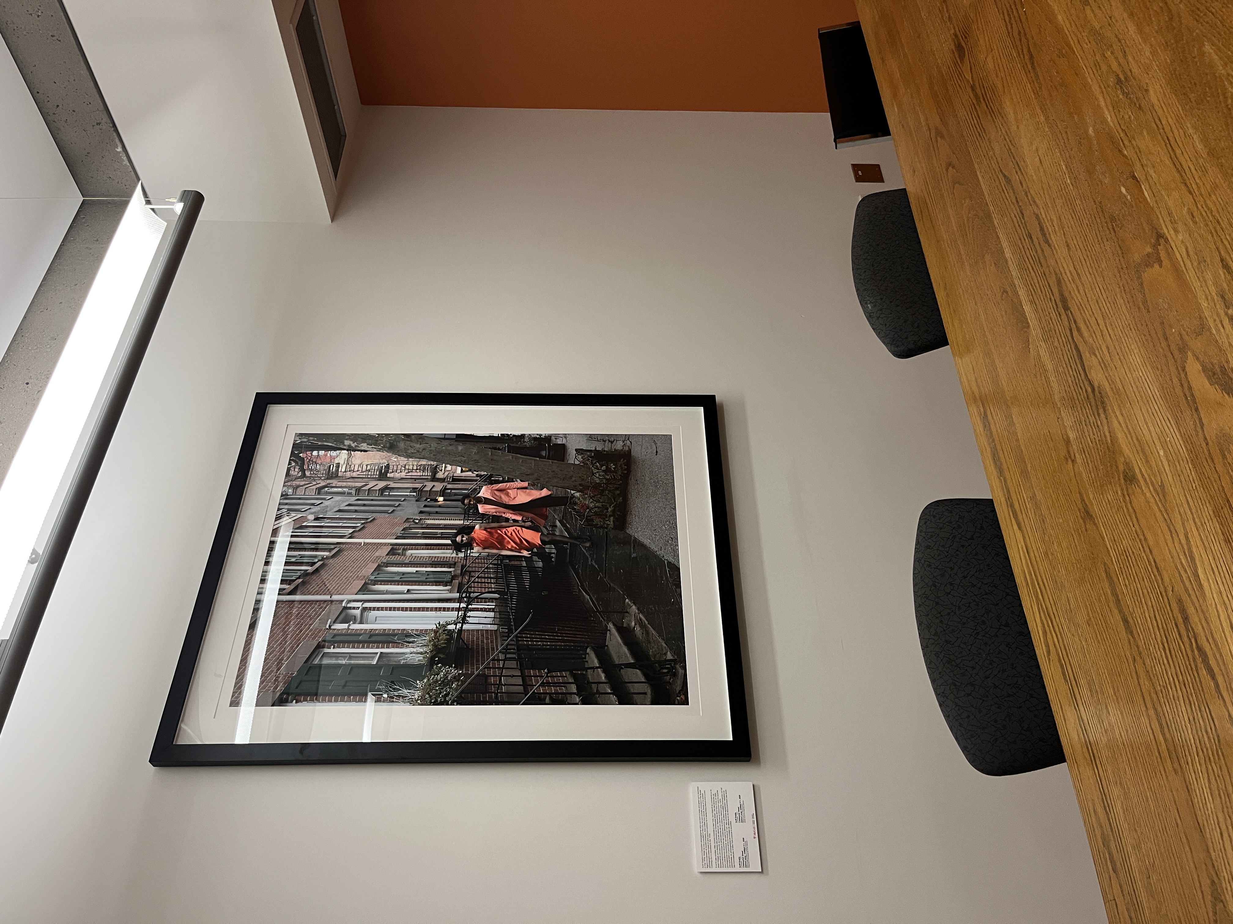 Large photograph installed on a wall