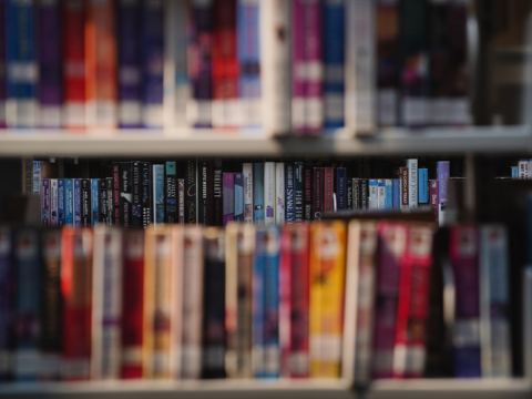 Image of books on a shelf