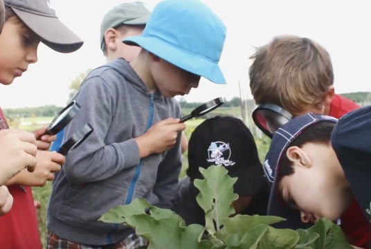 Still from an outreach video