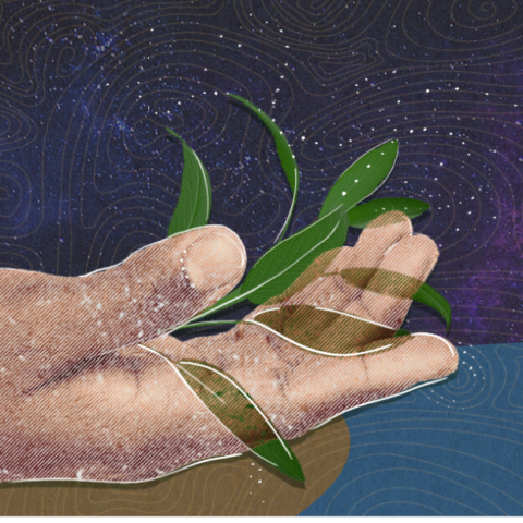 Hand holding leaves