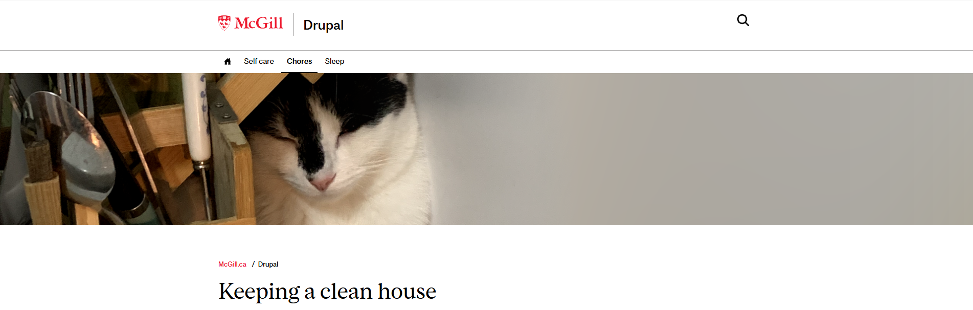 A wide, short image of a cat sleeping beside a dishrack on the top of a webpage entitled Keeping a clean house.