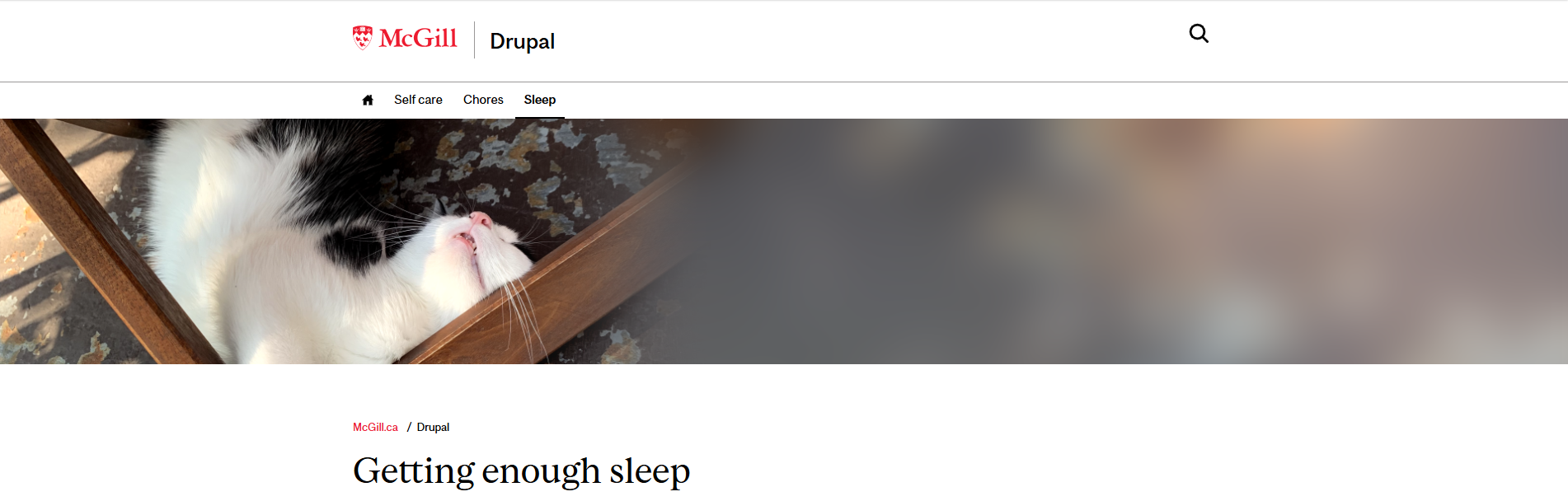 A wide, short image of a cat sleeping on its back underneath a patio chair on the top of a webpage entitled Getting enough sleep.