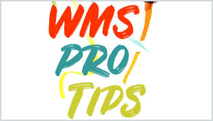 the words WMS Pro Tips written in colorful felt-tip marker