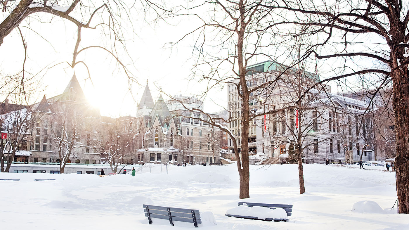 Snowy view of the lower campus in winter looking across the field towards the Redpath Museum.